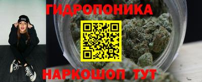 герыч Новодвинск