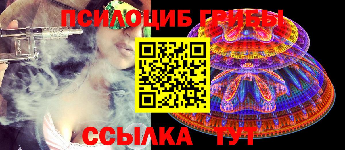 Псилоцибиновые грибы GOLDEN TEACHER Советский